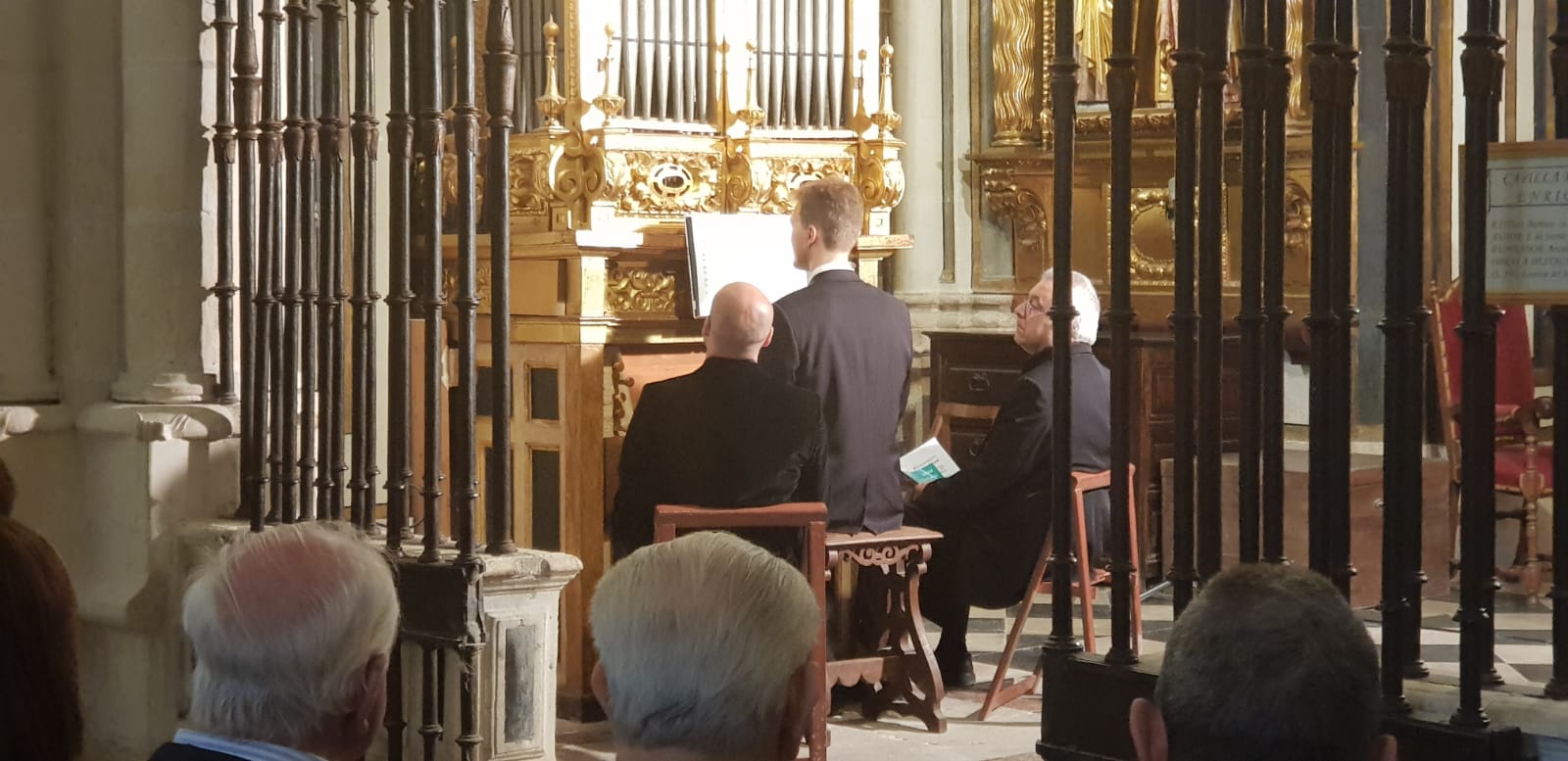 organistas-catedral